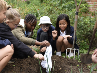 children planting pants in the soil