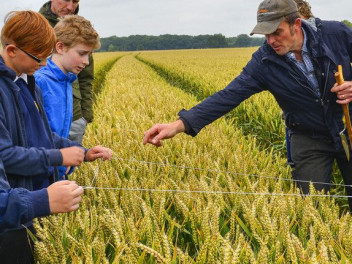 Wheat farmer and children calculating yields with children