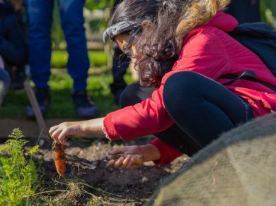 Girl with a carrot