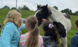 Stroking a pony