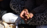 Young girl feels some straw in her hand
