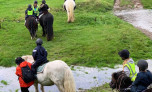 Pony trekking 