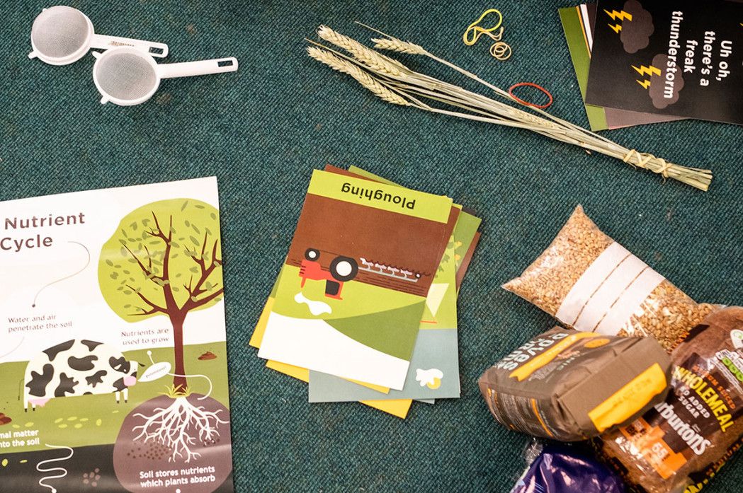 A selection of resources from Discover Warburtons Wheat 